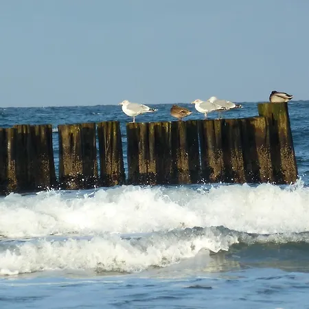 Baltic Dreams * Бёргеренде-Ретвиш