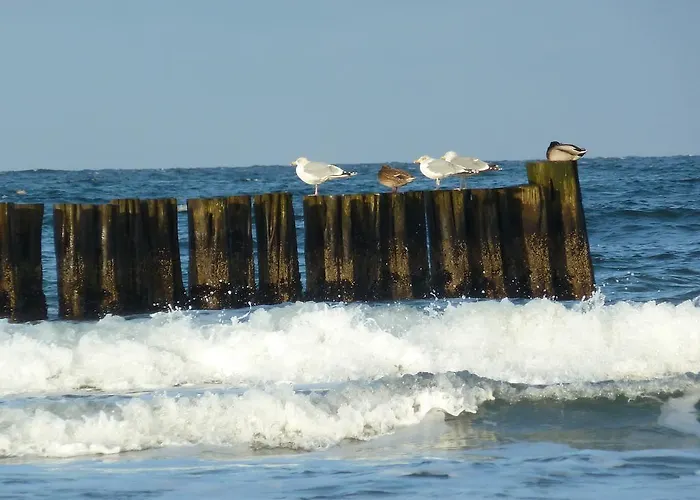 Baltic Dreams * Börgerende-Rethwisch